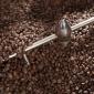Roasting Coffee for Chazzano Coffee Roasters
